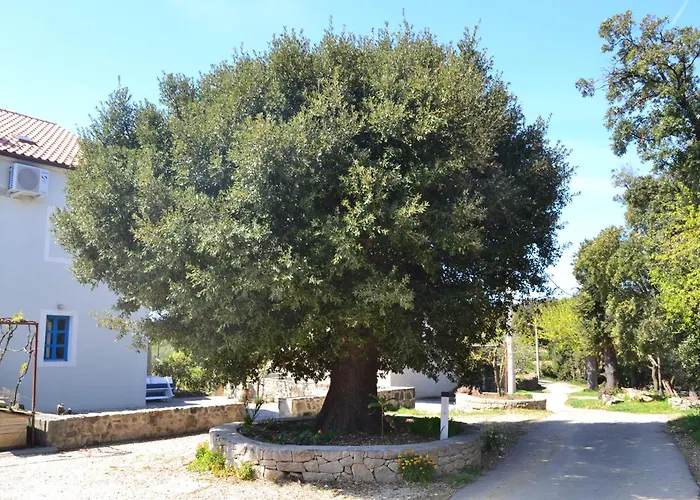 Vrsani